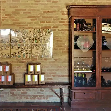 Monti In The Old Winery Osimo