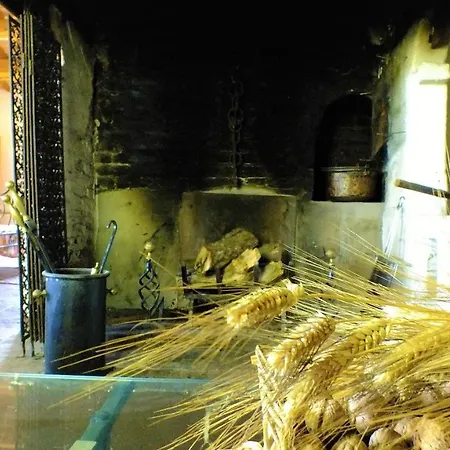 Monti In The Old Winery Holiday home Osimo