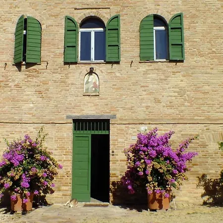 Monti In The Old Winery Osimo